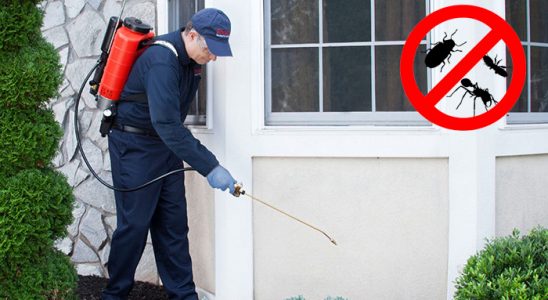Marmaris Karınca İlaçlama böcek ilaçlama ve haşere kontrolü — ilaclama-tr.com
